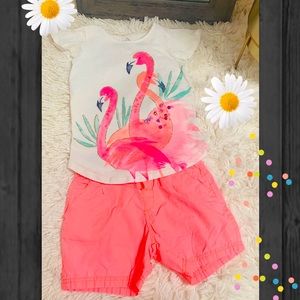 Lot of shirt and shorts set. Size 6-7